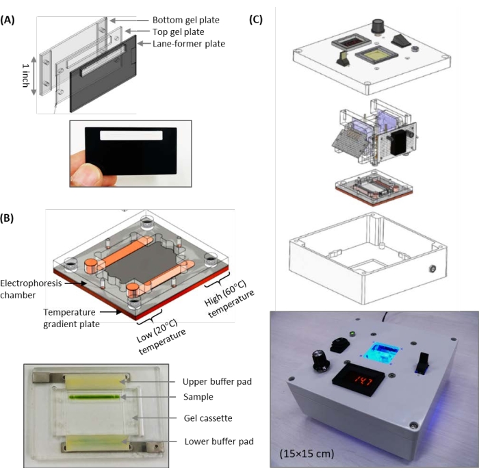 figure-results-2 Electrophoresis setup with temperature gradient for gel analysis; diagram of device components and operation.