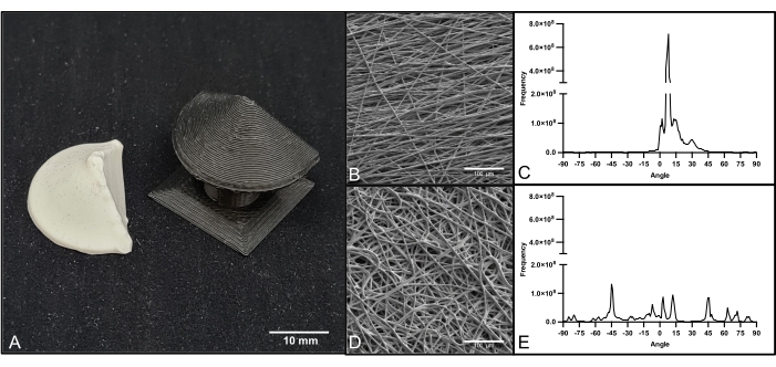figure-results-3 3D-printed materials, SEM micrograph, fiber texture analysis, frequency distribution graph.