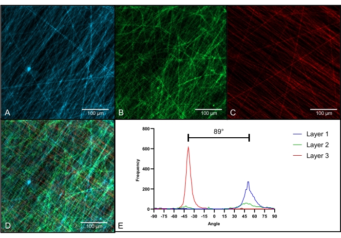 figure-results-4 Microscopy images of fibrous structures, RGB channels; angular distribution graph, layers 1-3.