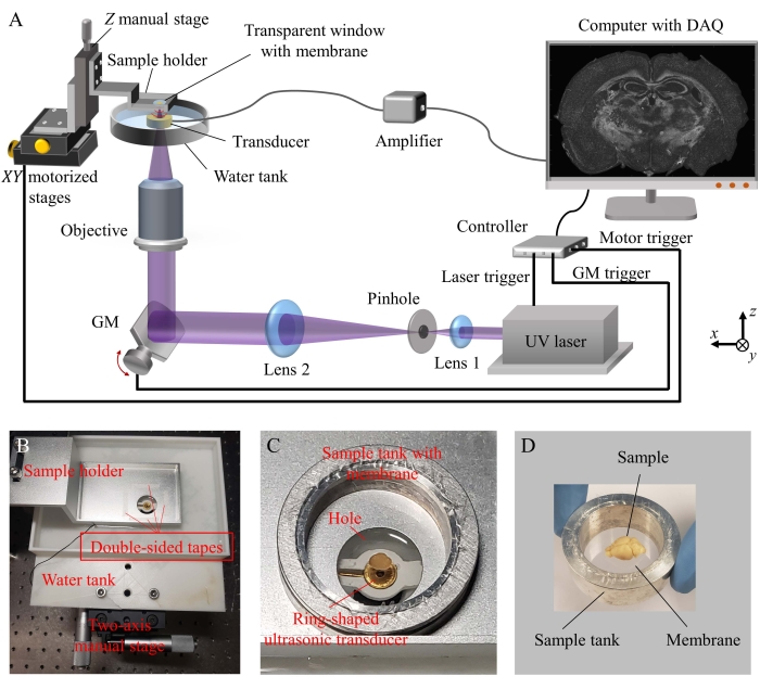 Photonic imaging setup diagram with UV laser, sample holder, ultrasonic transducer; data acquisition.