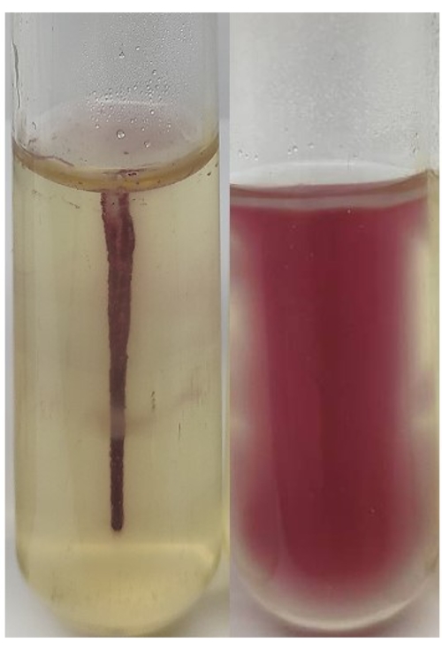 figure-results-1 试管中颜色变化的氧化还原反应实验,展示化学过程观察。