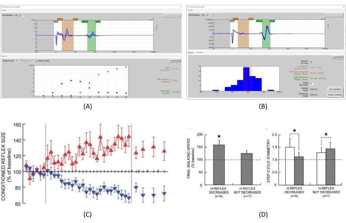 Neurophysiological data analysis, reflex modulation results, graphs of step cycle metrics.
