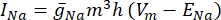 figure-introduction-9 Na+ ion current equation, formula for neuronal action potential, key in electrophysiology analysis.