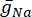 Na ion conductance equation, electrophysiology, membrane potential, scientific formula, g_Na symbol