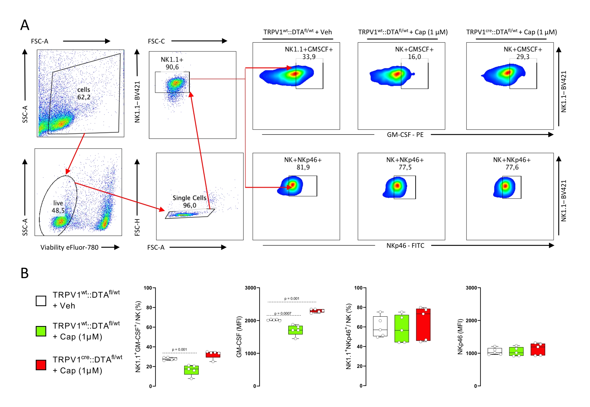 Neurons And Glial Cells Openstax Biology