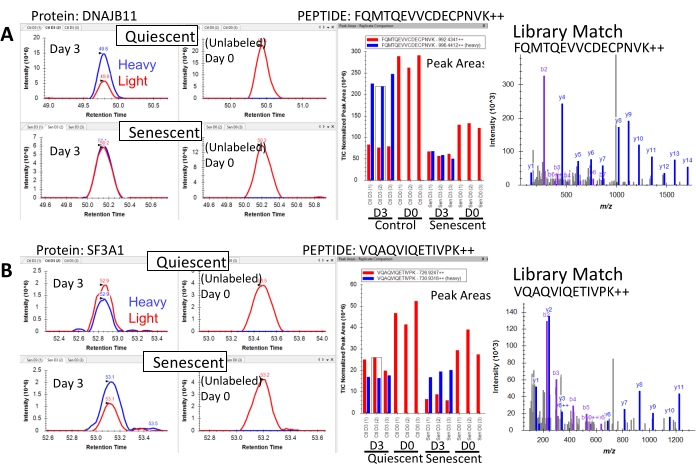 figure-results-6 Mass spectrometry analysis; peptide quantification; bar graphs, protein comparison, ion spectra.
