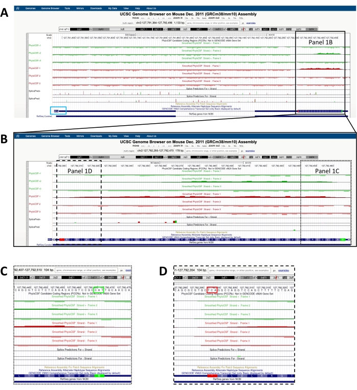 An Integrated Approach for Microprotein Identification and Sequence ...