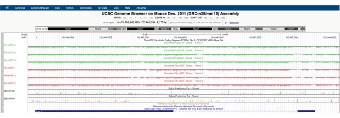 UCSC Genome Browser diagram, mouse genome alignment, gene expression, data analysis.
