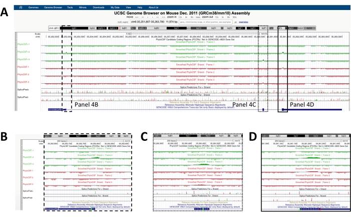UCSC Genome Browser diagram; mouse chromosome data analysis, sequence alignment, gene expression.