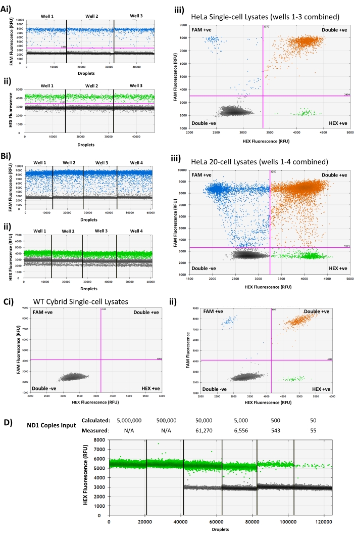 Measuring Single-Cell Mitochondrial DNA Copy Number and Heteroplasmy ...