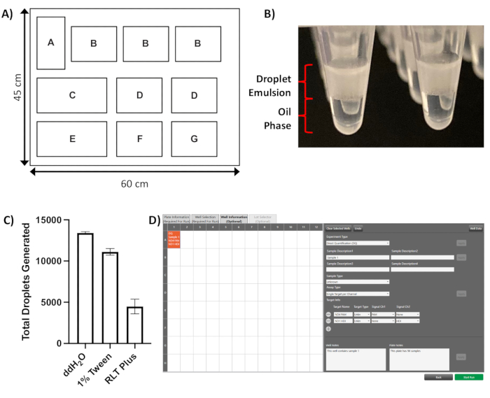 Video: Measuring Single-Cell Mitochondrial DNA Copy Number and ...