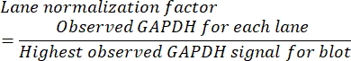 figure-protocol-1