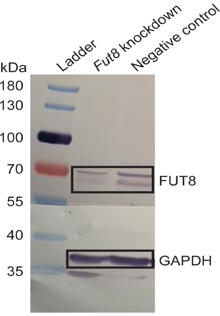 figure-results-2