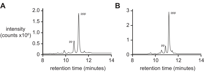 figure-results-2