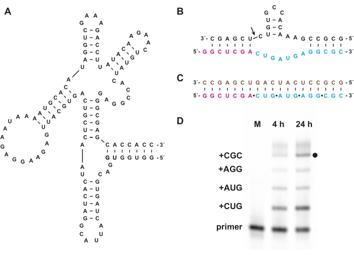 figure-results-4