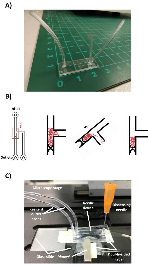 figure-protocol-6