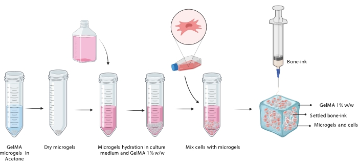 GelMA microgels to bone-ink process diagram: mix cells, hydrate in culture, syringe extrusion.
