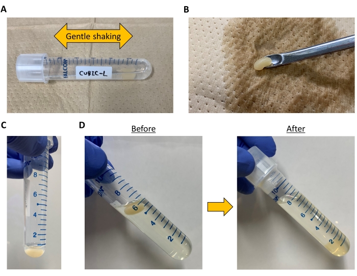 figure-results-2 Protein extraction process; gentle shaking, centrifuge tube setup, purification results comparison.