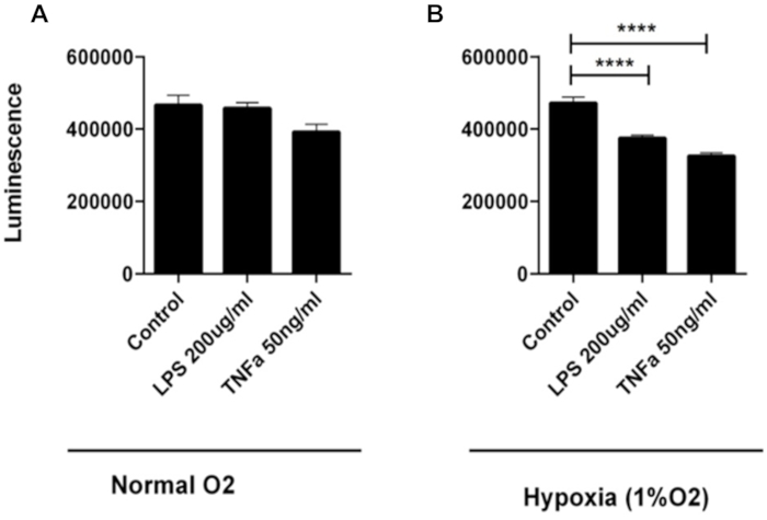 Luminescence bar graph, hypoxia impact on samples. Data shows control, LPS, TNFα levels.