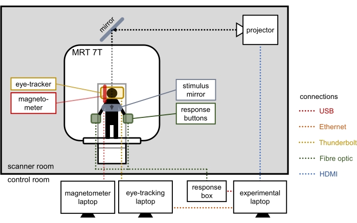 figure-introduction-2 MRI setup diagram with eye-tracker and magnetometer; USB, HDMI, Ethernet connections.