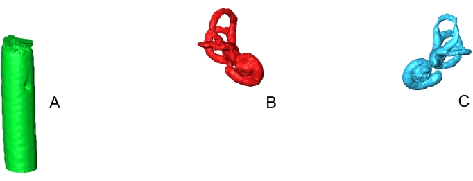 3D model diagram illustrating protein structures A (green), B (red), C (blue) for structural analysis.