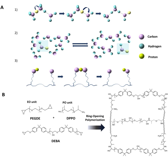 Synthesizing a Gel Polymer Electrolyte for Supercapacitors, Assembling ...