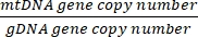 mtDNA/gDNA copy number ratio; equation for genetic analysis; research data evaluation