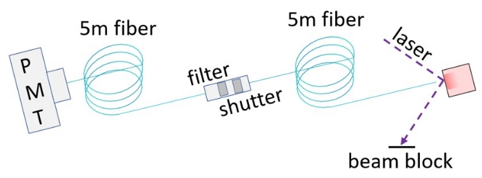Optical setup diagram with laser, PMT, fibers, filter, shutter for transient absorption study.