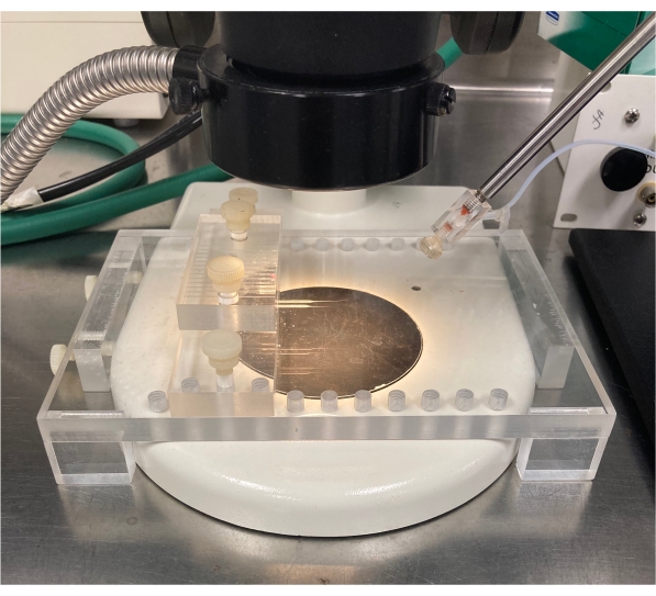 Microscopy setup with Petri dish for sample observation; includes optical illumination components.