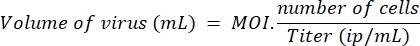 figure-protocol-3 figure-protocol-3