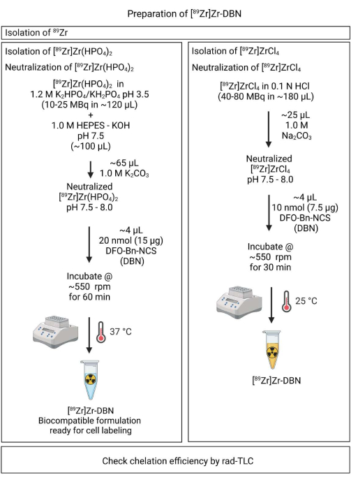 Preparation of [89Zr]Zr-DBN; isotope isolation, neutralization process, biocompatible formulation diagram.