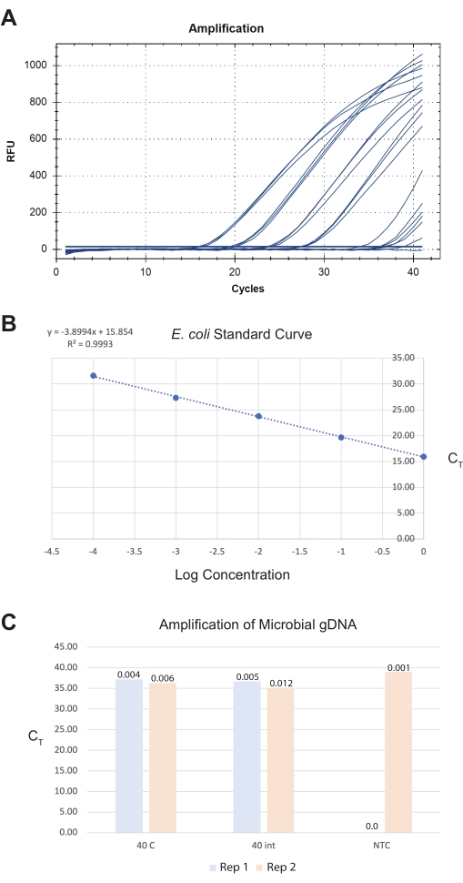 figure-results-8 Quantitative PCR amplification graph and E. coli standard curve chart showing microbial gDNA analysis.