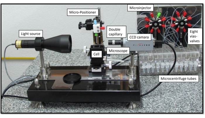 figure-introduction-3 Microinjection setup with light source, micro-positioner, CCD camera, for precise cell manipulation.