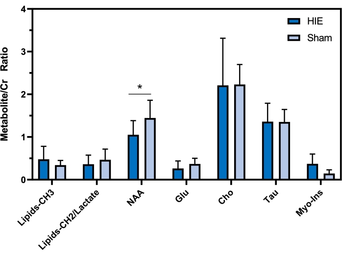 Metabolite/Cr ratio bar chart comparing HIE vs sham groups across various metabolites.