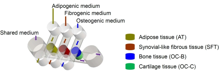 figure-introduction-1