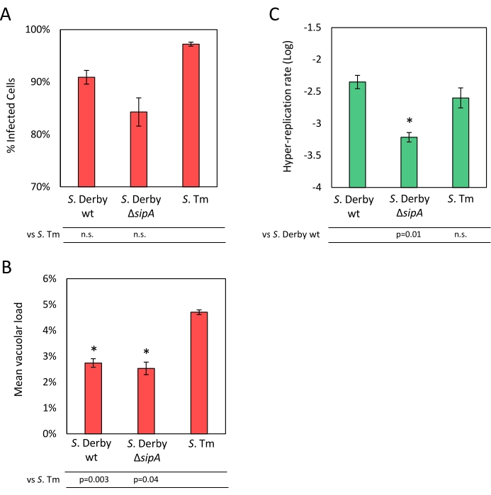 figure-results-5 Salmonella infection analysis; bar graphs; % infected cells, vacuolar load, hyper-replication rate.