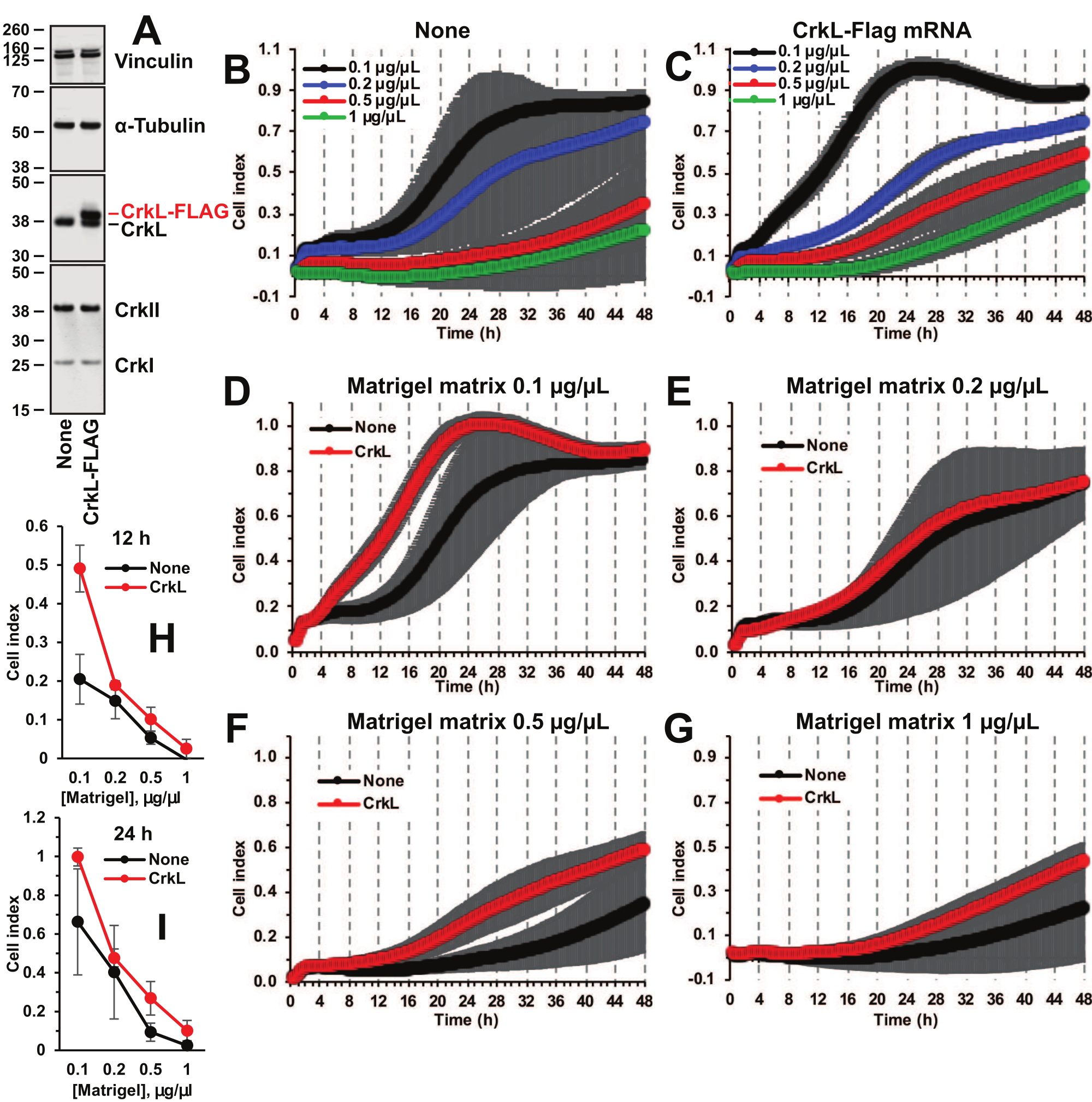 Migration Invasion Cancer Video: Real-Time Quantitative Measurement of Tumor Cell Migration and ...