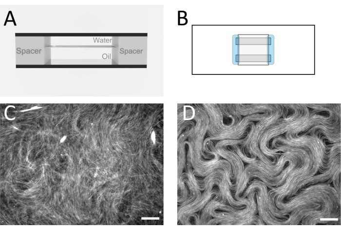 figure-results-2 Microfluidic setup diagram for oil-water separation and fiber structure images, microscopy analysis.