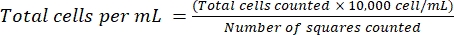Total cell count formula; equation for calculating cell concentration in microscopy analysis.