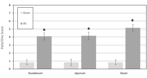 Bar graph, Park/Chiu score, intestine sections, Sham vs. IRI, statistical comparison, research data.