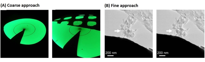 figure-results-2 Coarse vs. fine approach in nanoscale imaging; scanning electron microscopy; comparative techniques.