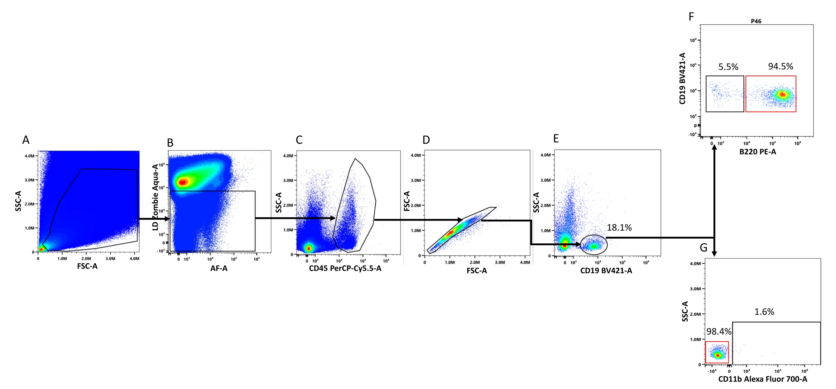 Flow Cytometry-Based Quantification and Analysis of Myocardial B