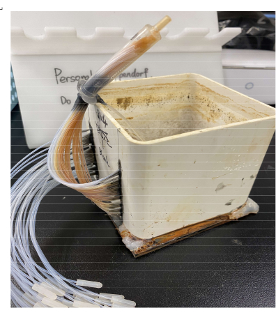 Electrophoresis setup with tubing array for DNA separation study, highlighting flow system equipment.