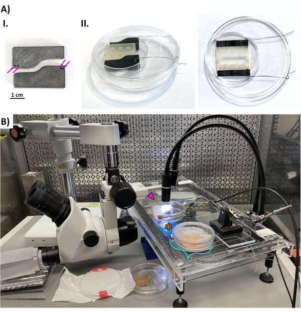 Microfluidic device setup with microscope for optical excitation analysis in spectroscopy experiment.