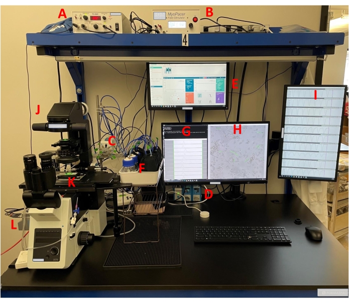Microscopy setup with electrophysiology system, real-time data analysis monitors, neuron study.
