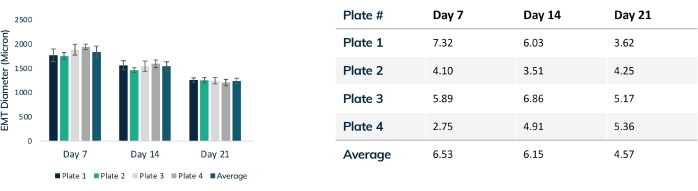 figure-results-4