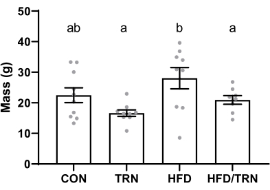 Bar chart comparing mass across different conditions (CON, TRN, HFD, HFD/TRN). Statistical analysis.