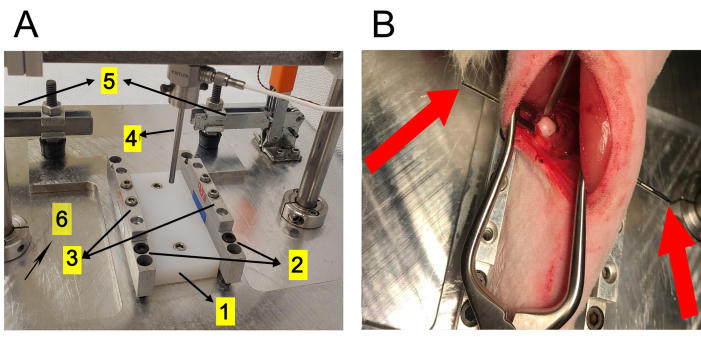 figure-results-2 Surgical setup with labeled components and incision process; medical procedure diagram.