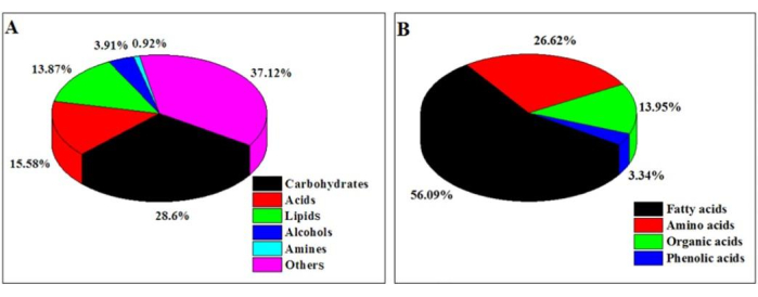 figure-results-2 饼图显示生物分子的组成分析:碳水化合物、酸、脂质、氨基酸。