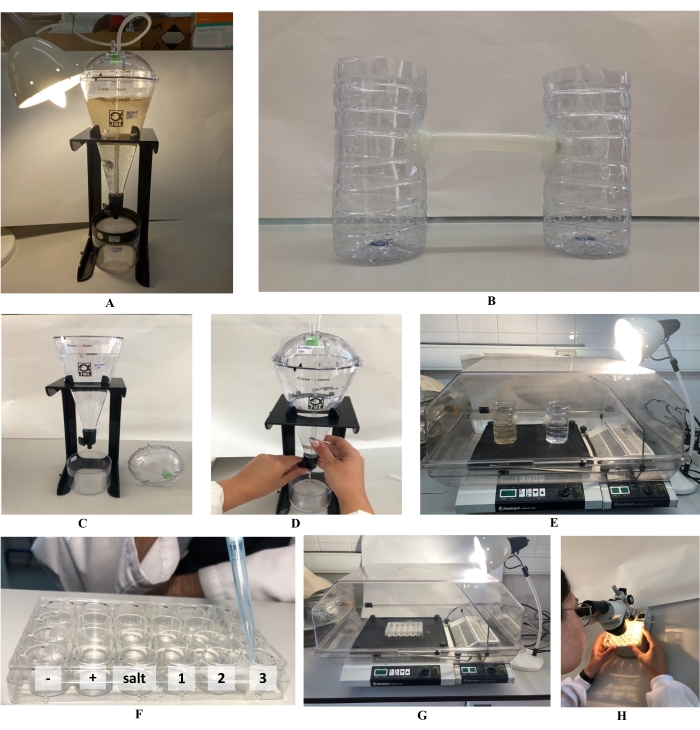 Filtration experiment setup; DIY filtration system, beakers, pipette; separation process diagram.
